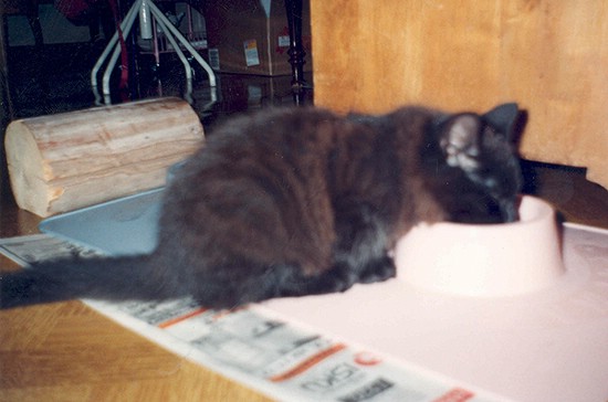 tirppuli_1991.jpg