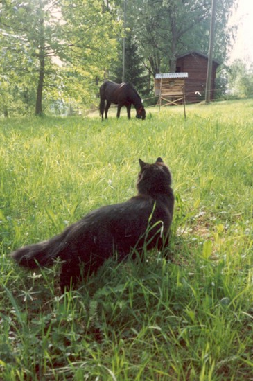 tirppuli_ja_elek_1993.jpg