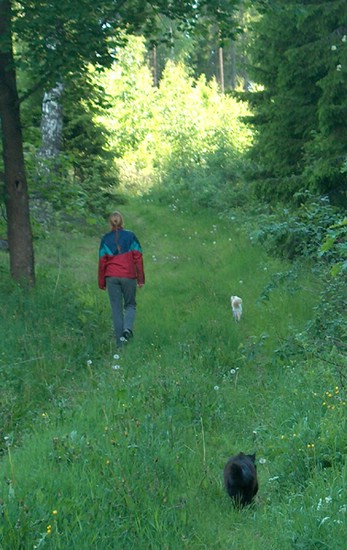 tyypit_20040610.jpg
